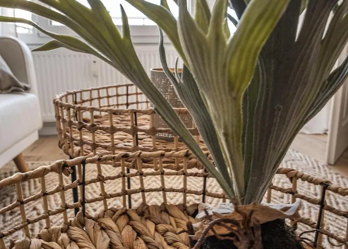 Blick Auf Eckernfoerder Bucht Eckernfoerde